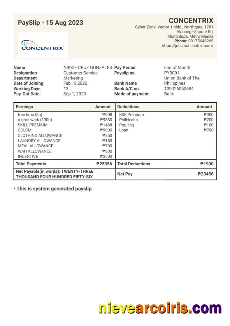 Concentrix technology and services payslip